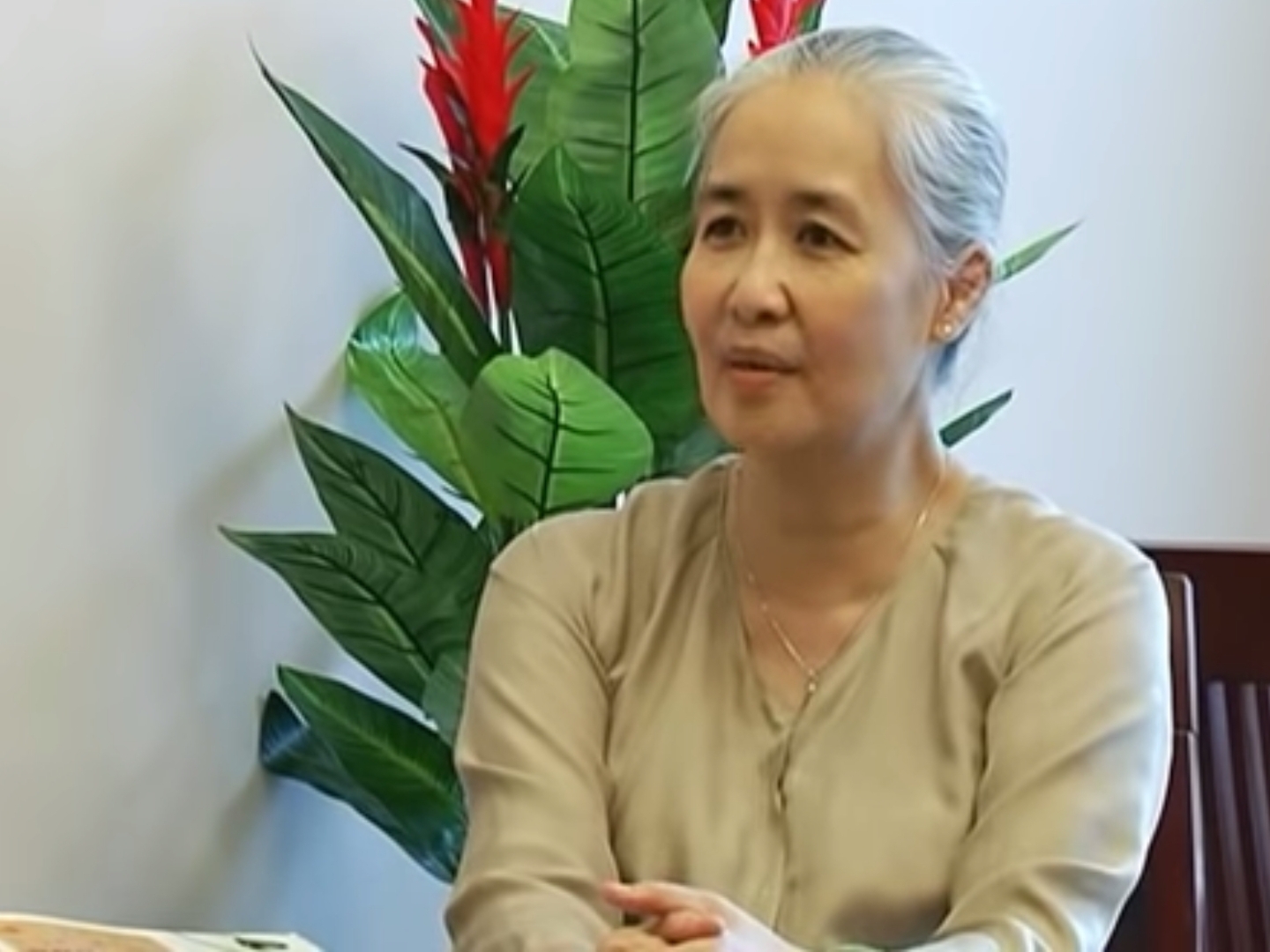 Bà Nguyễn Dzoãn Cẩm Vân 