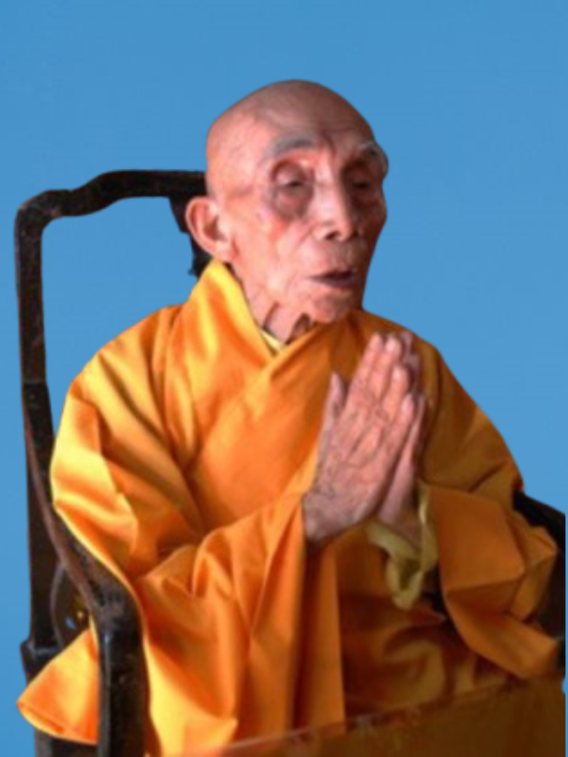 Đại lão Hòa thượng Thích Thanh Bích